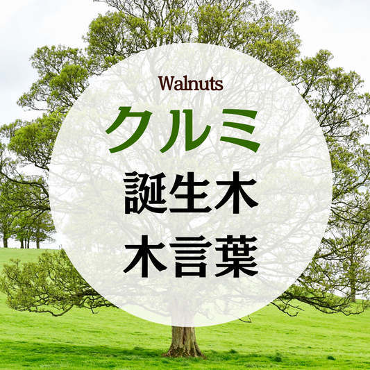 2月 9月 誕生木 クルミ(ウォールナット)の木の木言葉(花言葉)