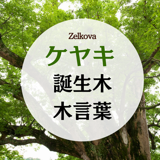 8月 誕生木 ケヤキの木の木言葉(花言葉)