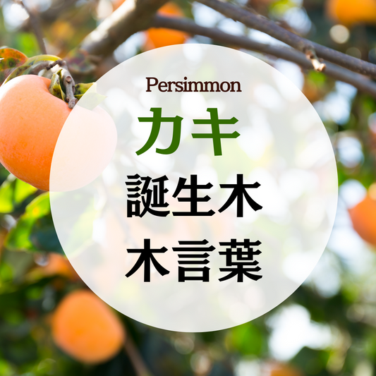 10月 誕生木 カキの木の木言葉(花言葉)