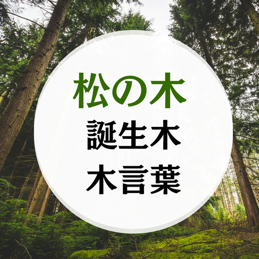 1月 誕生木 松の木の木言葉(花言葉)