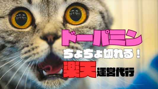 楽天運営代行について改めて思う事
