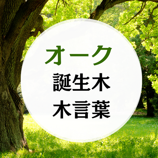 7月 誕生木 オークの木の木言葉(花言葉)