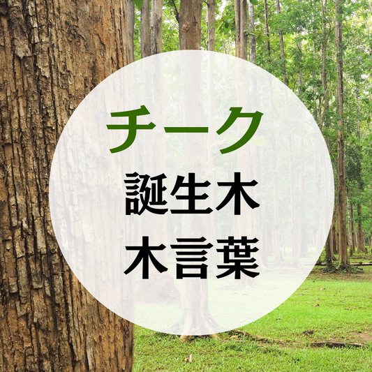 12月 誕生木 チークの木の木言葉(花言葉)