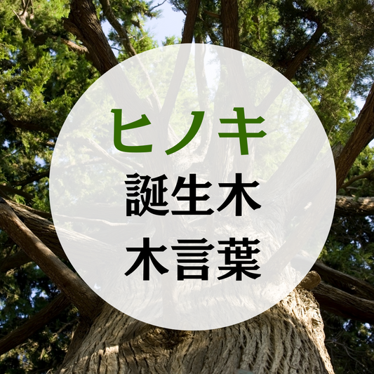 4月の誕生木 檜(ヒノキ)の木の木言葉(花言葉)