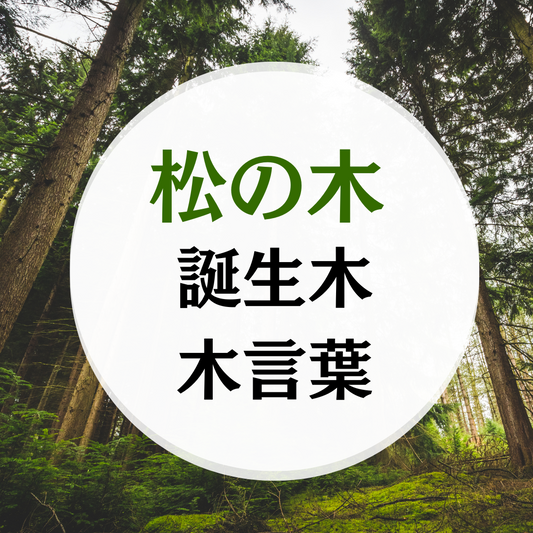 松の木の木言葉（花言葉）誕生木月