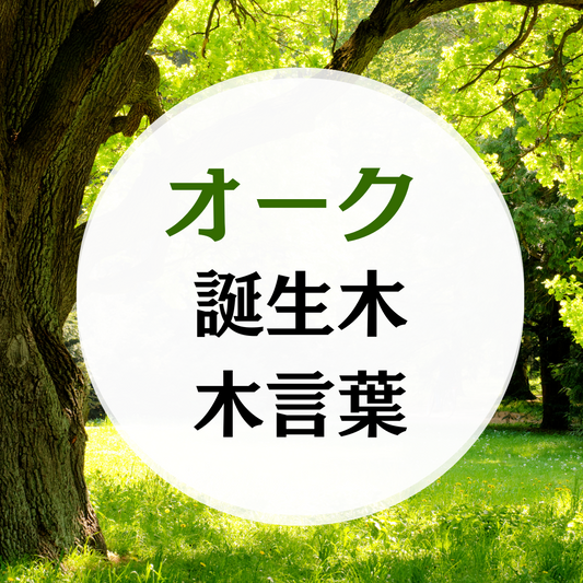 オークの木の木言葉（花言葉）誕生木月