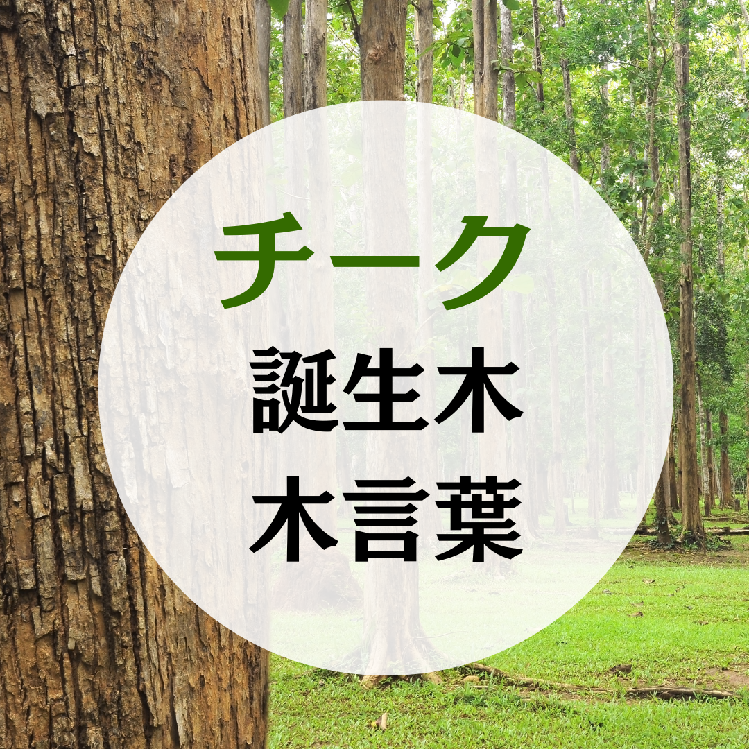 チークの木の木言葉（花言葉）誕生木月