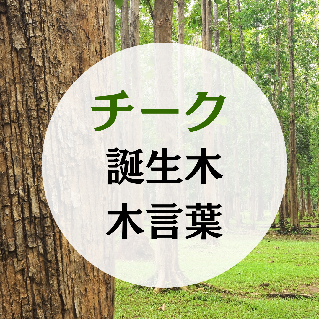 12月 誕生木 チークの木の木言葉（花言葉）