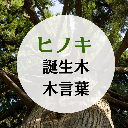 檜（ヒノキ）の木の木言葉（花言葉）誕生木月