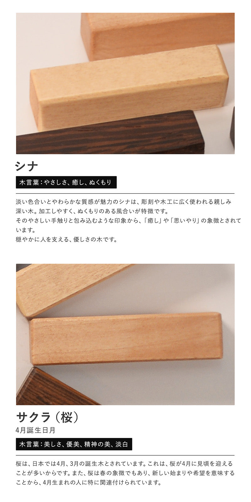 キーケース 天然木キーホルダー ギフトセット 木まぐれ 17