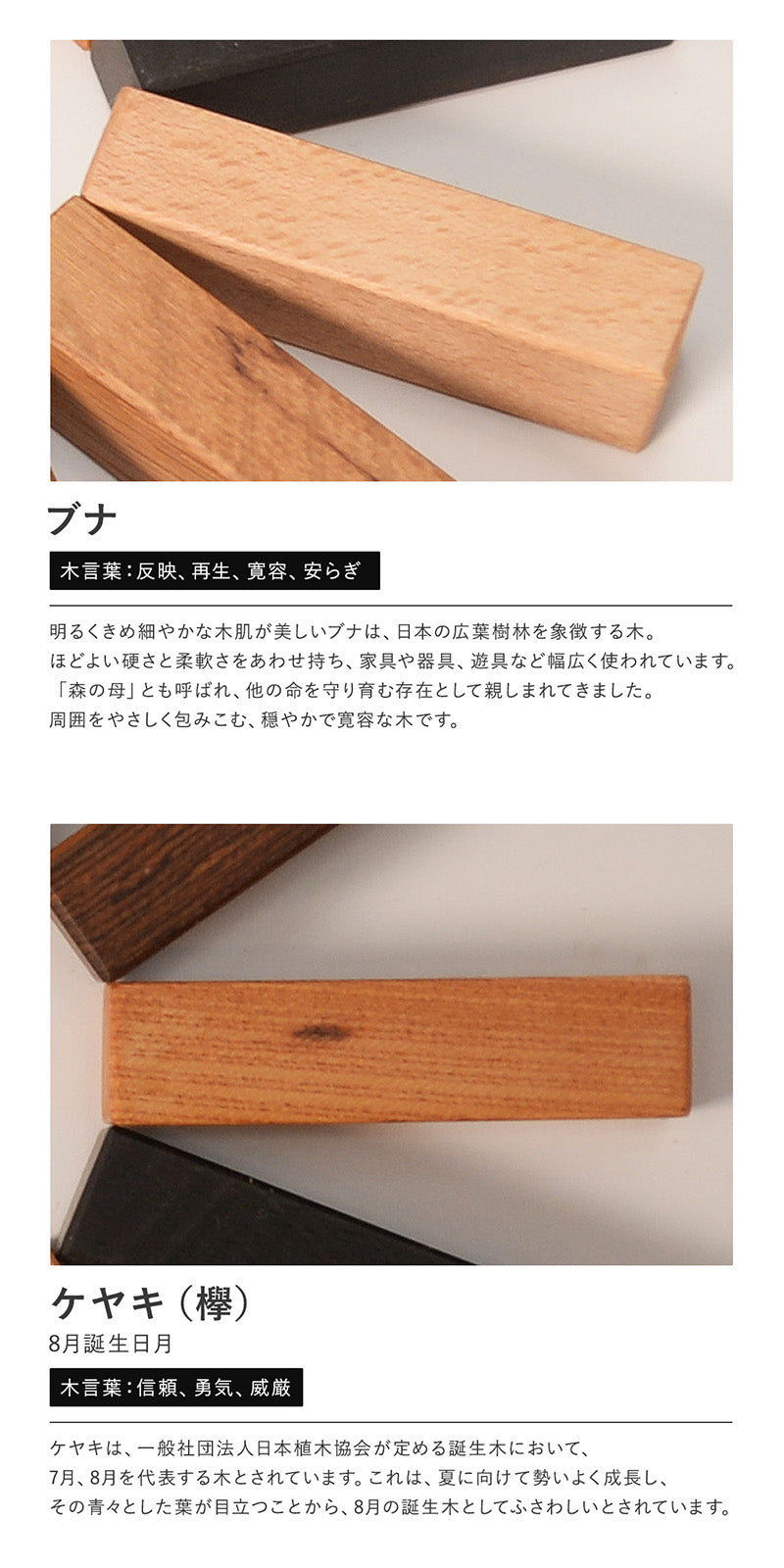 キーケース 天然木キーホルダー ギフトセット 木まぐれ 18
