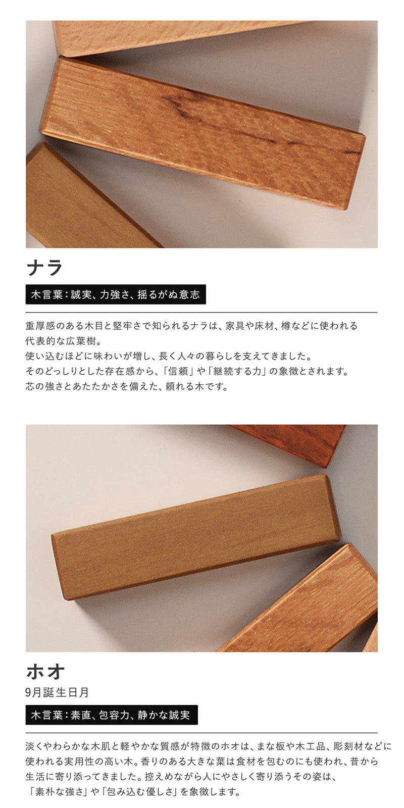 キーケース 天然木キーホルダー ギフトセット 木まぐれ 19