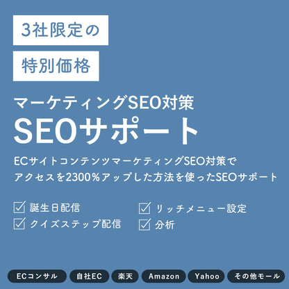 ECサイトコンテンツマーケティングSEO対策でアクセスを2300％アップした方法を使ったSEOサポート